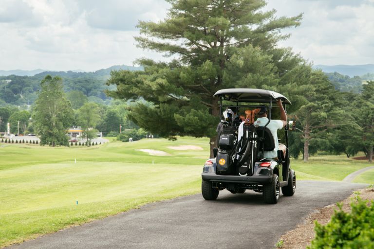 Electric Golf carts in Idaho
