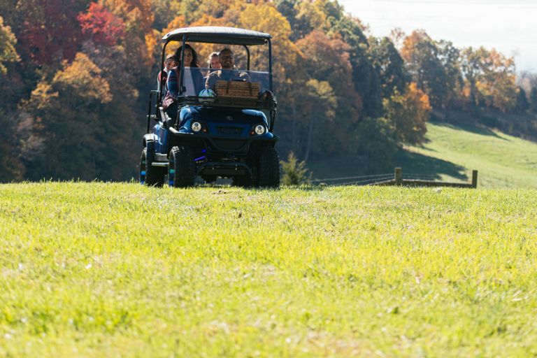golf cart customization in New Jersey